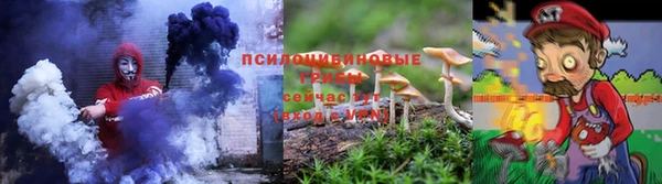 герыч Бронницы