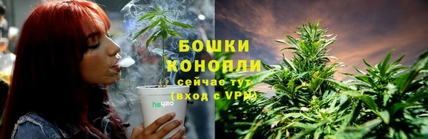 spice Бородино