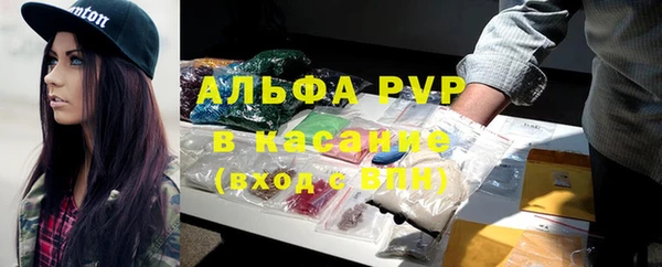 spice Бородино