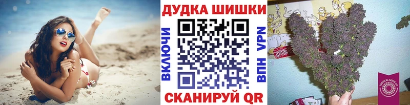 Бошки Шишки ГИДРОПОН  Кочубеевское 